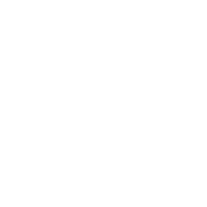 DSG-2022-06-23-MFFFN-PIC3-Icons-60593122_Feather-White An icon of a feather.