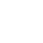DSG-2022-06-23-MFFFN-PIC3-Icons-60593122_Fish-White An icon of two fish.