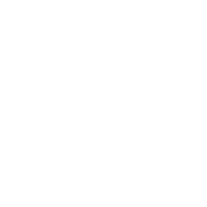 DSG-2022-06-23-MFFFN-PIC3-Icons-60593122_Money-White An icon of a dollar sign.