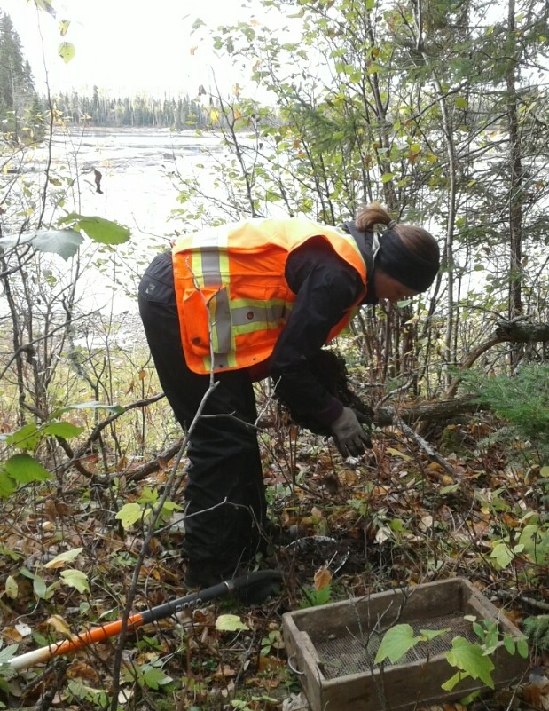a person in reflective vest bending down to collect samples from the environment