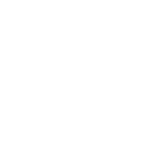 multimedia-bird-icon-W