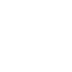 DSG-2022-06-23-MFFFN-PIC3-Icons-60593122_Leaf-White An icon of a leaf.
