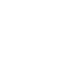 DSG-2022-06-23-MFFFN-PIC3-Icons-60593122_Single-Fish-White An icon of a fish.