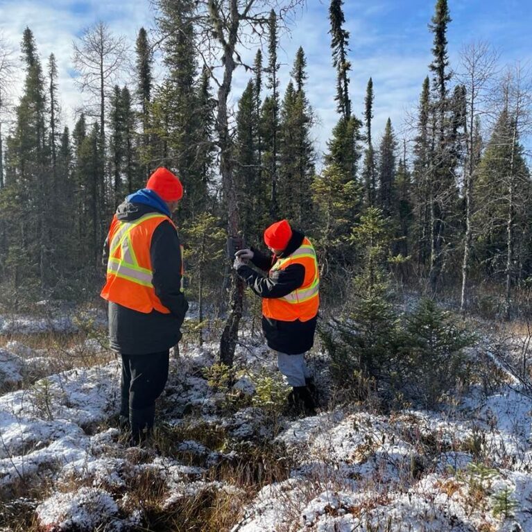 Two people with high vis jackets are working outside in a forest during a field program.