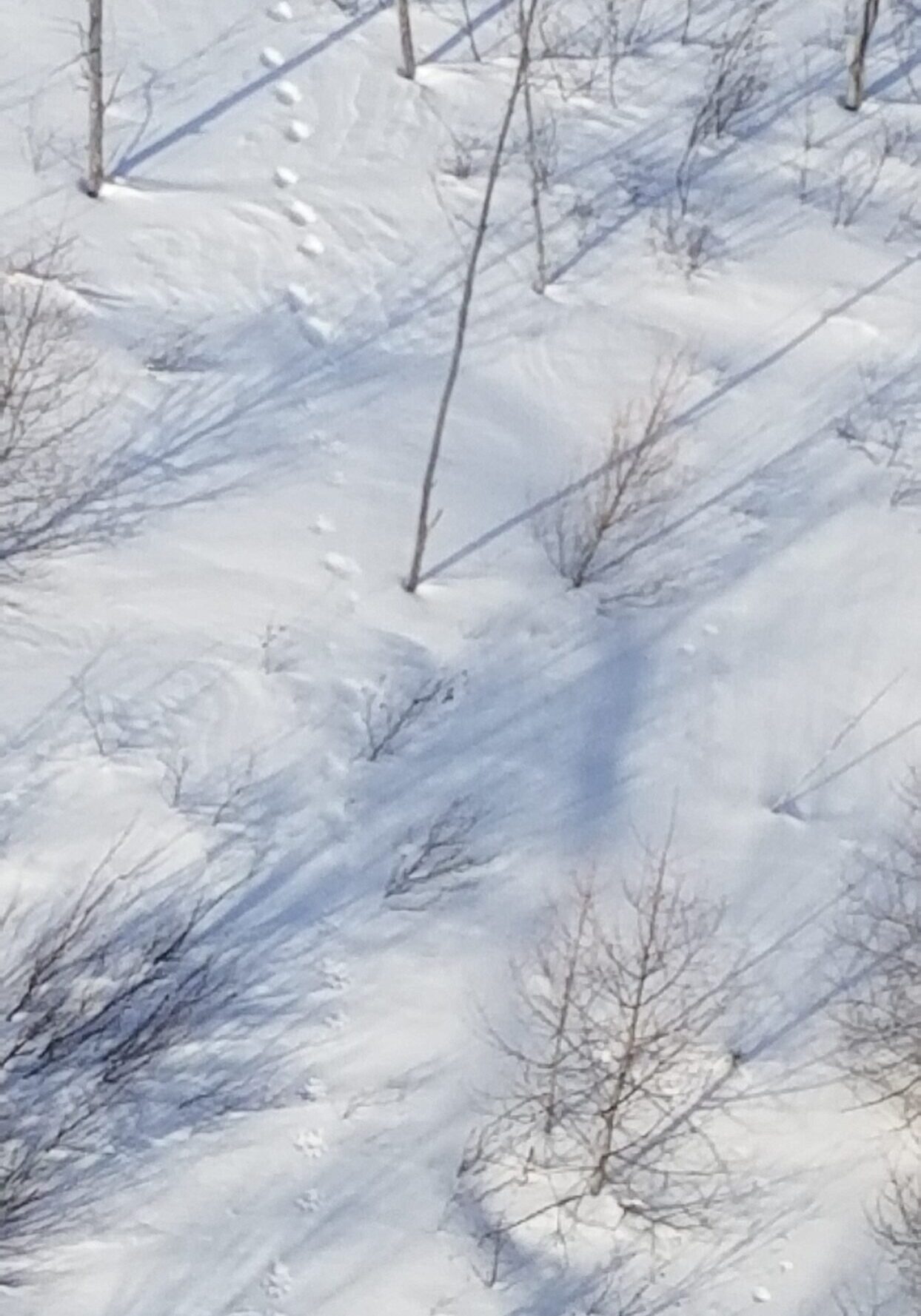 winter snow terrain